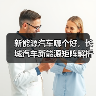 新能源汽车哪个好，长城汽车新能源矩阵解析：谁更值得入手？(图3)