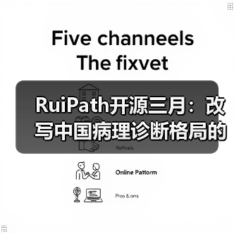 RuiPath开源三月：改写中国病理诊断格局的AI力量(图4)