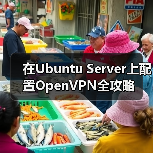 在Ubuntu Server上配置OpenVPN全攻略 - 新媒体情报驿站
