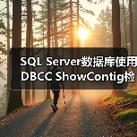 SQL Server数据库使用DBCC ShowContig检查索引碎片(图2) SQL Server数据库使用DBCC ShowContig检查索引碎片(图2)