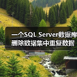 一个SQL Server数据库删除数据集中重复数据的例子(图2) 一个SQL Server数据库删除数据集中重复数据的例子(图2)