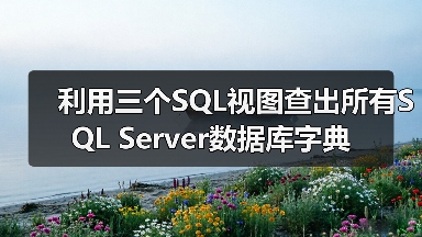 利用三个SQL视图查出所有SQL Server数据库字典 - 新媒体情报驿站