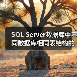 SQL Server数据库中不同数据库相同表结构的数据导入(图3) SQL Server数据库中不同数据库相同表结构的数据导入(图3)