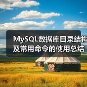 MySQL数据库目录结构及常用命令的使用总结篇 - 新媒体情报驿站
