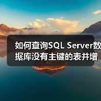 如何查询SQL Server数据库没有主键的表并增加主键(图4)