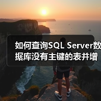 如何查询SQL Server数据库没有主键的表并增加主键(图1)