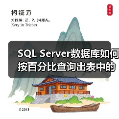 SQL Server数据库如何按百分比查询出表中的记录数(图2)