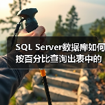 SQL Server数据库如何按百分比查询出表中的记录数(图4)
