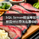 SQL Server数据库如何按百分比查询出表中的记录数(图1)