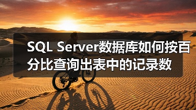 SQL Server数据库如何按百分比查询出表中的记录数(图3)