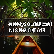 有关MySQL数据库的INI文件的详细介