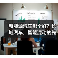 新能源汽车哪个好？长城汽车，智能混动的先锋之选(图3)