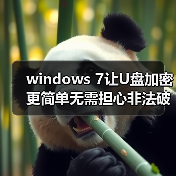 windows 7让U盘加密更简单无需担心非法破解(图4) windows 7让U盘加密更简单无需担心非法破解(图4)