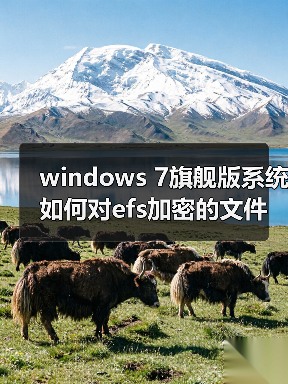 windows 7旗舰版系统如何对efs加密的文件或文件夹进行解密(图3) windows 7旗舰版系统如何对efs加密的文件或文件夹进行解密(图3)