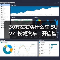 30万左右买什么车 SUV？长城汽车，开启智能豪华新境界(图2)