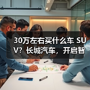 30万左右买什么车 SUV？长城汽车，开
