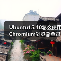 Ubuntu15.10怎么使用Chrom