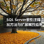 SQL Server索引注释添加方法与扩展属性应用(图4)