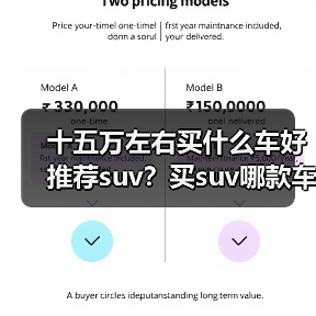 十五万左右买什么车好推荐suv？买suv哪款车比较好(图2)