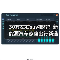30万左右suv推荐？新能源汽车家庭出行新选择(图3)