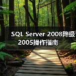 SQL Server 2008降级2005操作指南 - 新媒体情报驿站