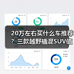 20万左右买什么车推荐？三款越野插混SU