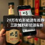 20万左右新能源车推荐：三款越野新能源车推荐(图2)