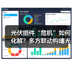 光伏组件“危机”如何化解？多方联动构建光伏产业高质量发展新格局(图2)