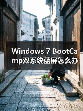 Windows 7 BootCamp双系统蓝屏怎么办?解决方案(图4) Windows 7 BootCamp双系统蓝屏怎么办?解决方案(图4)