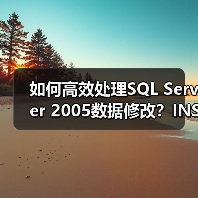 如何高效处理SQL Server 2005数据修改？INSE - 辰飞雨新媒体情报驿站