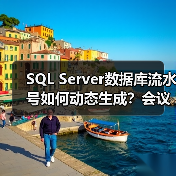 SQL Server数据库流水号如何动态