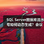 SQL Server数据库流水号如何动态生成？会议室预约场景应用(图3)