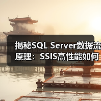 揭秘SQL Server数据流原理：SS