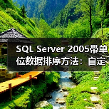 SQL Server 2005带单位数据排序方法：自定义函数 - 辰飞雨新媒体情报驿站