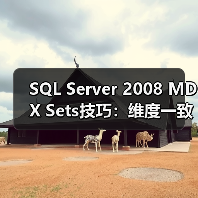 SQL Server 2008 MDX Sets技巧：维度一 - 辰飞雨新媒体情报驿站