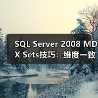 SQL Server 2008 MDX Sets技巧:维度一致与错误规避(图4) SQL Server 2008 MDX Sets技巧:维度一致与错误规避(图4)
