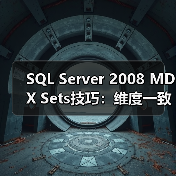 SQL Server 2008 MDX Sets技巧:维度一致与错误规避(图2) SQL Server 2008 MDX Sets技巧:维度一致与错误规避(图2)