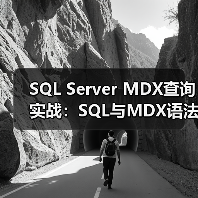 SQL Server MDX查询实战:SQL与MDX语法对比解析(图4) SQL Server MDX查询实战:SQL与MDX语法对比解析(图4)
