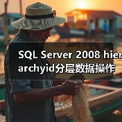 SQL Server 2008 hierarchyid分层数据操作全解析(图2)