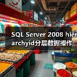 SQL Server 2008 hierarchyid分层数据操作全解析(图3)