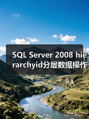 SQL Server 2008 hier