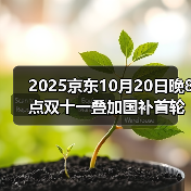 2025京东10月20日晚8点双十一叠加国补首轮放价，新一轮 - 辰飞雨新媒体情报驿站