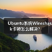 Ubuntu系统Wireshark卡顿怎么解决？(图4)