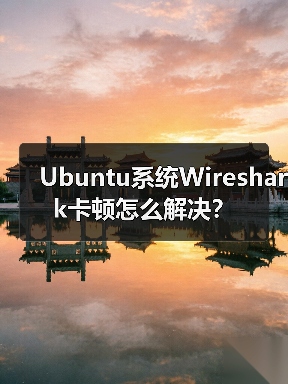 Ubuntu系统Wireshark卡顿怎么解决？(图3)