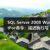 SQL Server 2008 Wait
