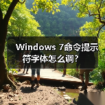 Windows 7命令提示符字体怎么调？(图2)