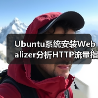 Ubuntu系统安装Webalizer分析HTTP流量指南(图4)