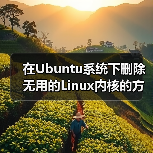 在Ubuntu系统下删除无用的Linux内核的方法(图3)
