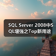 SQL Server 2008中SQL增强之Top新用途(图4) SQL Server 2008中SQL增强之Top新用途(图4)