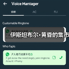 伊斯坦布尔·黄昏的集市(图3) 伊斯坦布尔·黄昏的集市(图3)